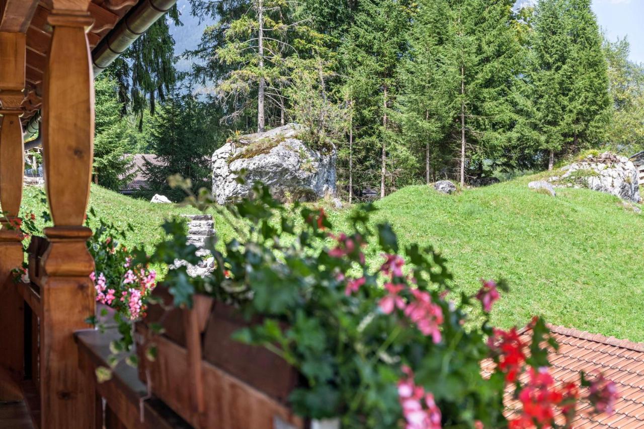Ferienwohnung Edelweiss 그라이나우 외부 사진